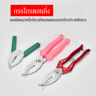 กรรไกรตอนกิ่งไม้ รวดเร็วกว่า 5 เท่า