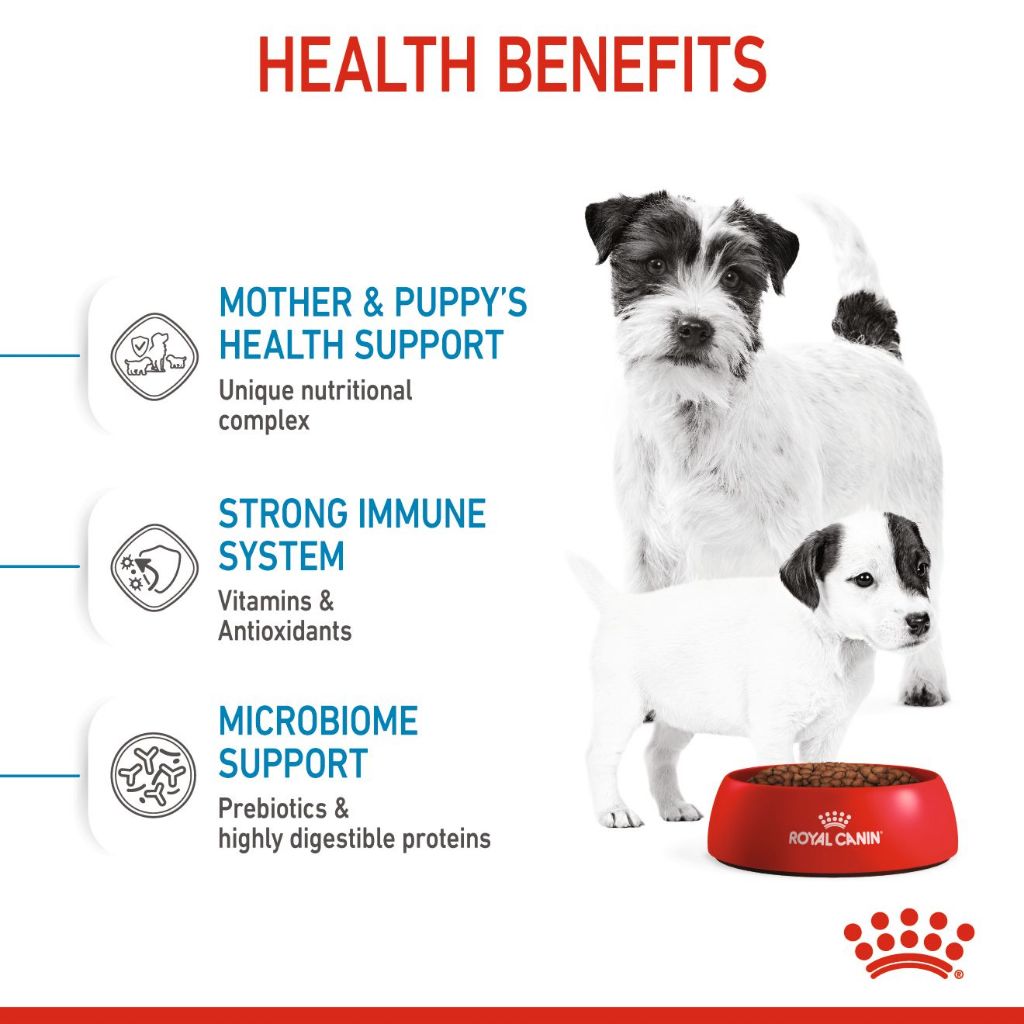 Royal Canin Dog 3 kg สำหรับแม่และลูกสุนัขพันธุ์เล็ก Starter Mother & Baby Dog - รูปที่ 4