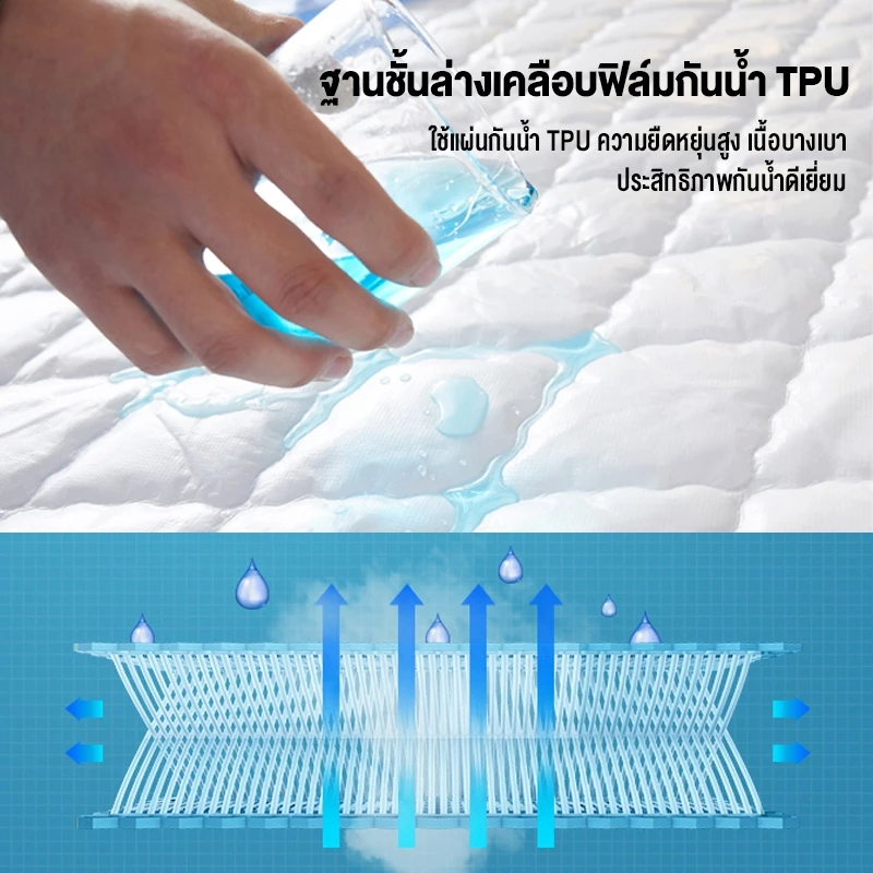 ผ้ารองกันเปื้อนที่นอนกันน้ำ รัดมุม 6ฟุต/ 5ฟุต/ 3.5ฟุต thumbnail 6