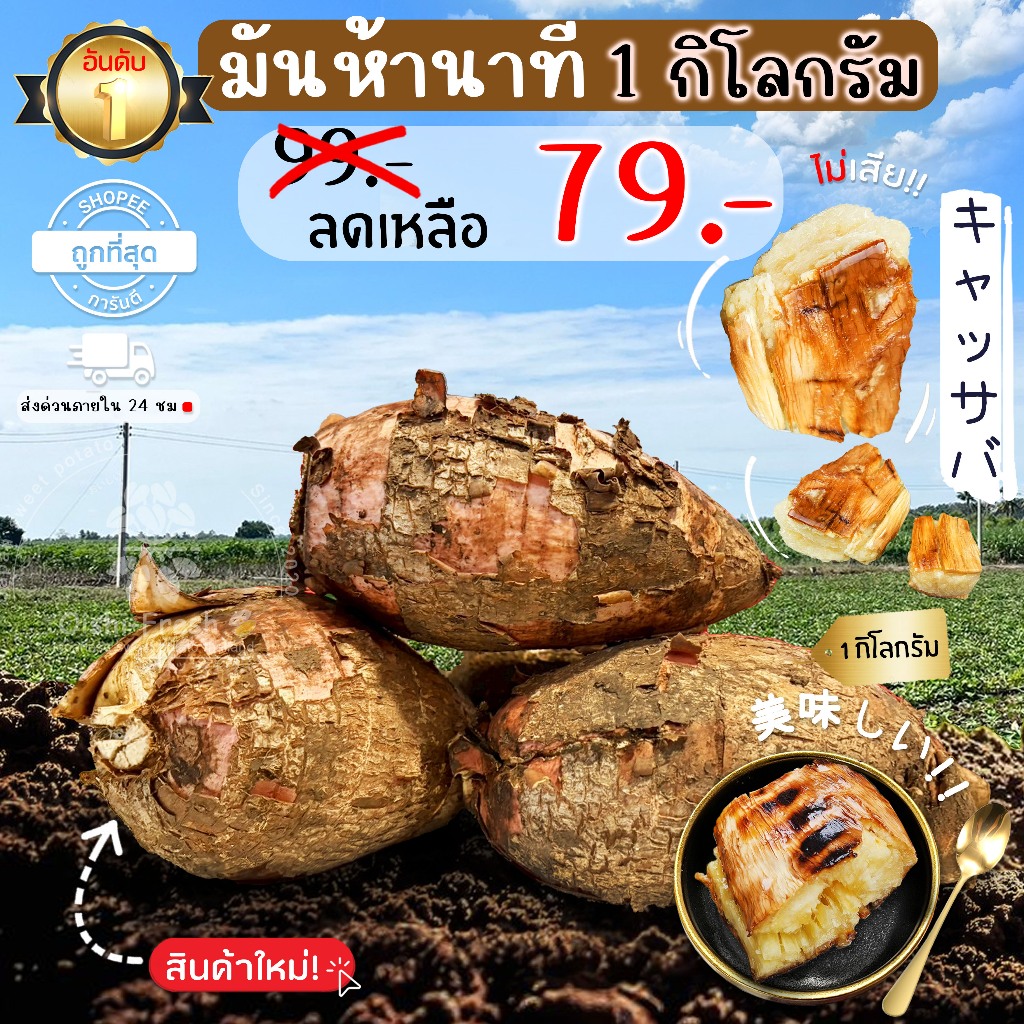 Oishi-Fresh มัน 5 นาที ปลอดสารพิษ 1 กก. รสชาติกรอบ สด ใหม่ ใยอาหารสูง หวานออร์แกนิค จัดส่ง 24 ชม.