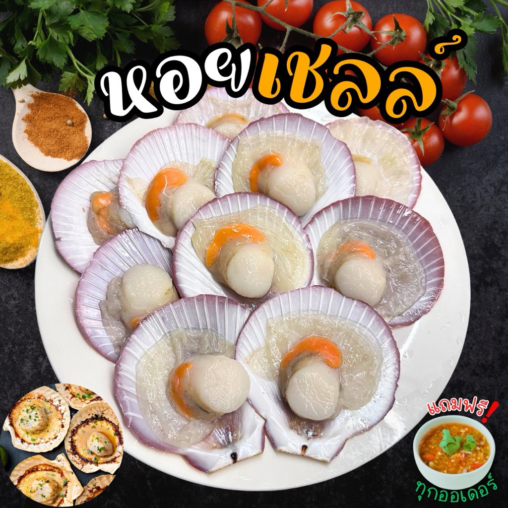 หอยเชลล์ไซส์ใหญ่ 20 ฝา +ฟรีน้ำจิ้มชีฟู้ด ‼️ เนื้อเด้ง เนื้อแน่น🐚 พร้อมส่งทั่วไทย 🛺