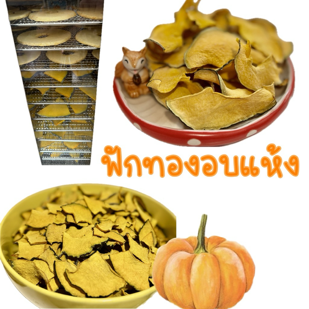 🎃ฟักทองอบแห้ง🎃ขนมสำหรับสัตว์เลี้ยง สัตว์ฟันแทะ กระต่าย แก๊สบี้ ชินชิลล่า แพรี่ด็อก มีวิตามินและคุณค่าสารอาหารจากธรรมชาติ