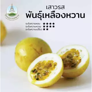 เสาวรสหวานน้ำผึ้ง🐝🐝 (เบอร์C มีติดแผล ไม่กระทบต่อด้านใน) รสชาติหวาน กลิ่นหอม อร่อย (ชั่งรวมกล่อง)