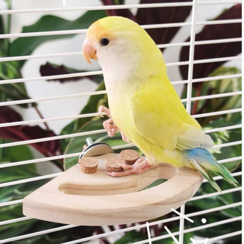 H-85 แท่นไม้ ไม้จากธรรมชาติ สีติดตั้งในกรง สำหรับนกแก้ว หนูแฮมสเตอร์ ชูการ์ไกรเดอร์ กระรอก ลิงมาโมเสท - รูปที่ 2