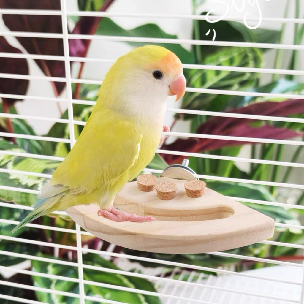 H-85 แท่นไม้ ไม้จากธรรมชาติ สีติดตั้งในกรง สำหรับนกแก้ว หนูแฮมสเตอร์ ชูการ์ไกรเดอร์ กระรอก ลิงมาโมเสท