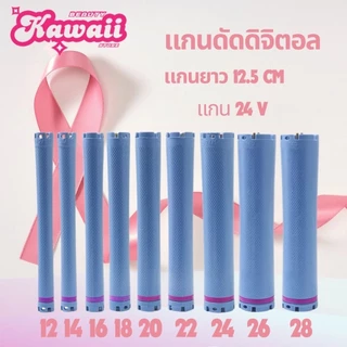 แกนดัดดิจิตอล ความยาวพิเศษ14 cm 12.5 cm และ 11 cm สำหนับเครื่องดัด 24v 2 ขั้ว