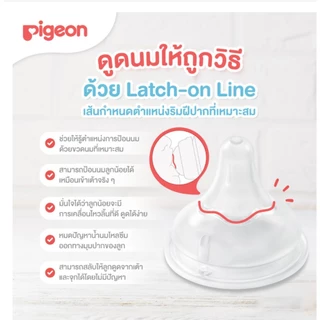 Pigeon ขวดนมพีเจ้น สีชา ลาย Horse ม้า น่ารัก P3