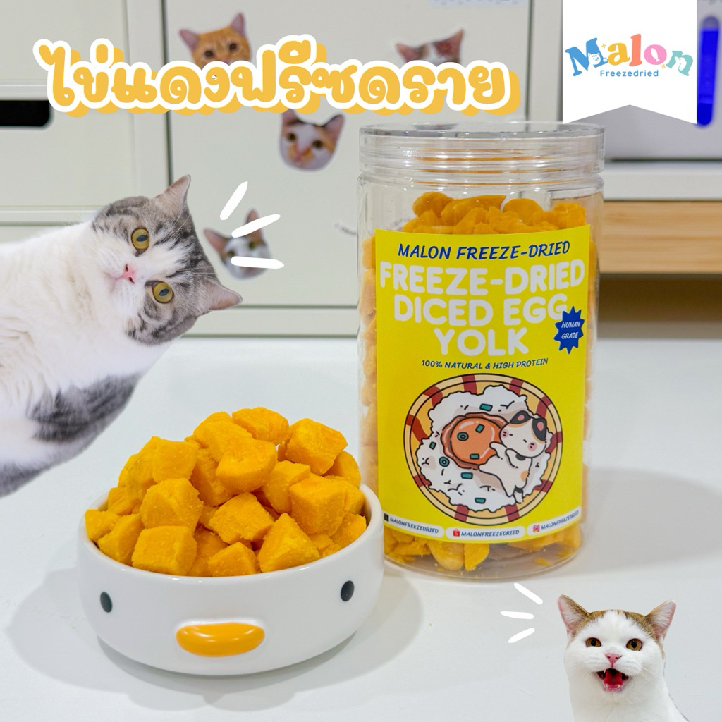 ไข่แดงฟรีซดราย MalonFreezedried / ขนมหมาฟรีซดราย ขนมแมวฟรีซดราย