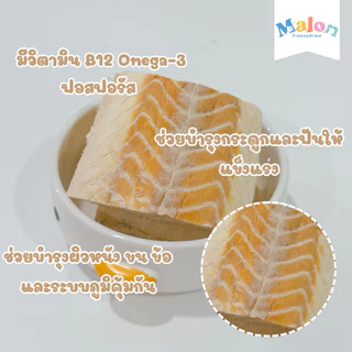 ปลาค็อดฟรีซดราย MalonFreezedried / ขนมหมาฟรีซดราย ขนมแมวฟรีซดราย