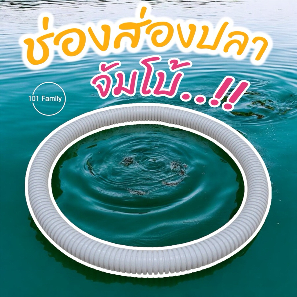 ช่องส่องปลา (จัมโบ้) วงให้อาหารปลา อุปกรณ์กั้นจอกแหนและให้อาหารปลาบนผิวน้ำ ห่วงพลาสติกสีขาว จอกแหน อ่าง ปลา ไม้ ลอย น้ํา
