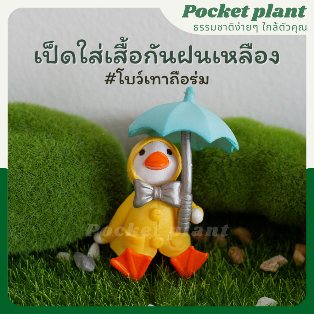 มุมมอง 8