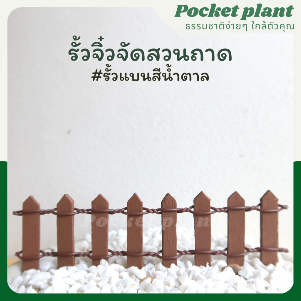 มุมมอง 6