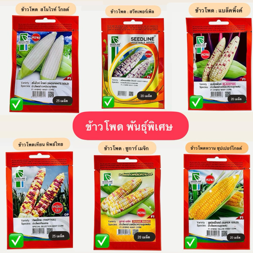 เมล็ด ข้าวโพดหวาน,ข้าวโพดสโนไวท์,ข้าวโพดสวีทเพอร์เพิล,ข้าวโพดชูก้า,ข้าวโพดแบล็คพิ๊งค์,เทียนเหลือง,เทียนขาว,ข้าวโพดแปดแถว