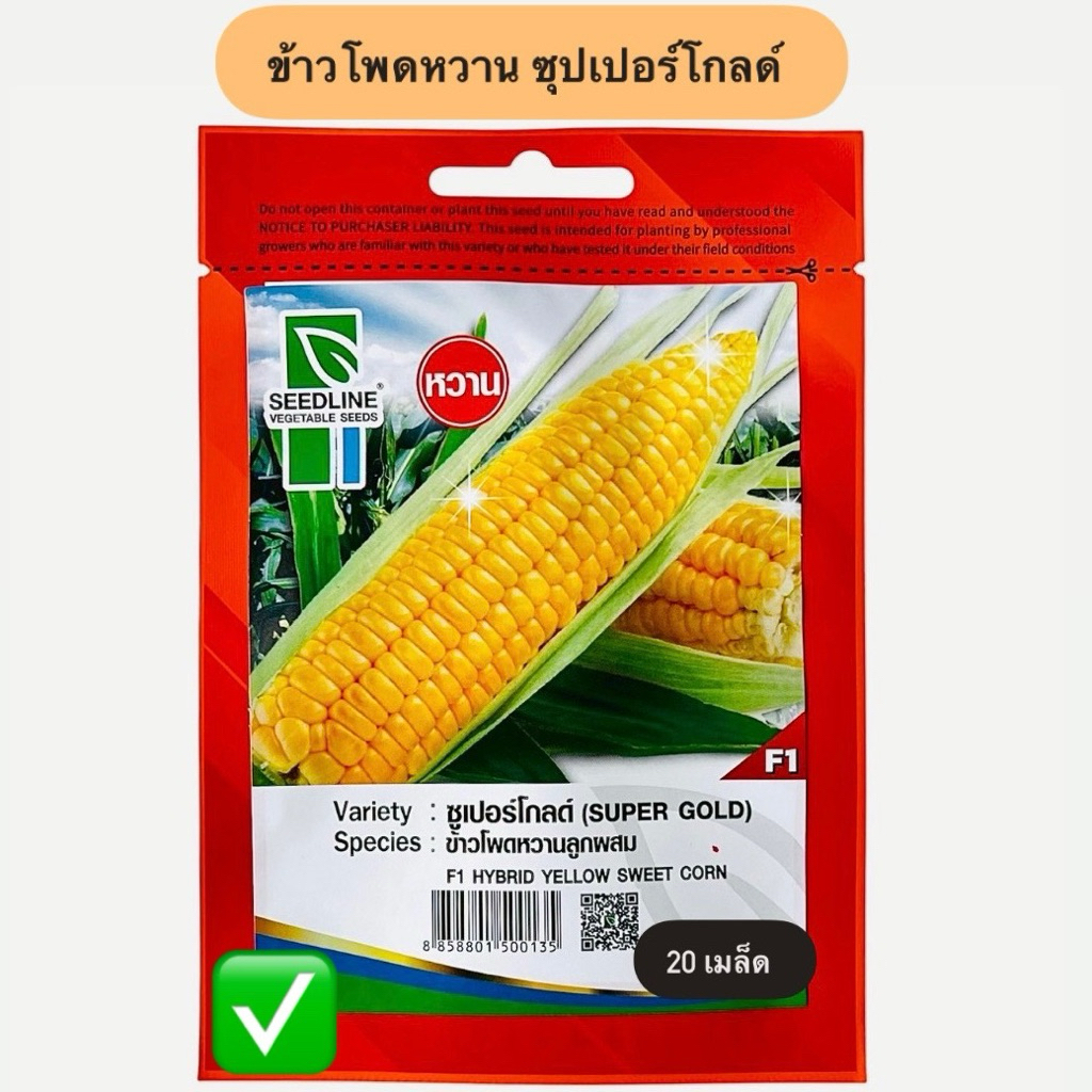 ข้าวโพดหวาน ซุปเปอร์โกลด์ ตราซีดไลน์ (25 เมล็ด)
