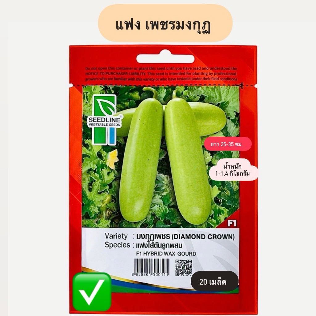 แฟง เพชรมงกุฏ (20 เมล็ด) ตราซีดไลน์ พันธุ์พิเศษ