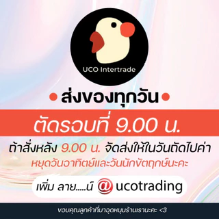 *โหมโรง* ขลุ่ย ขลุ่ยเพียงออ รีคอร์ดเดอร์ PVC ลิ้นไม้ ยาว44ซม ฝึกหัด สีครีม คีย์C ไทย G สากล เสียงใส