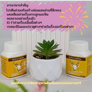 แพคคู่ เขากวางอ่อนแคปซูลของแท้( 2 ขวด)