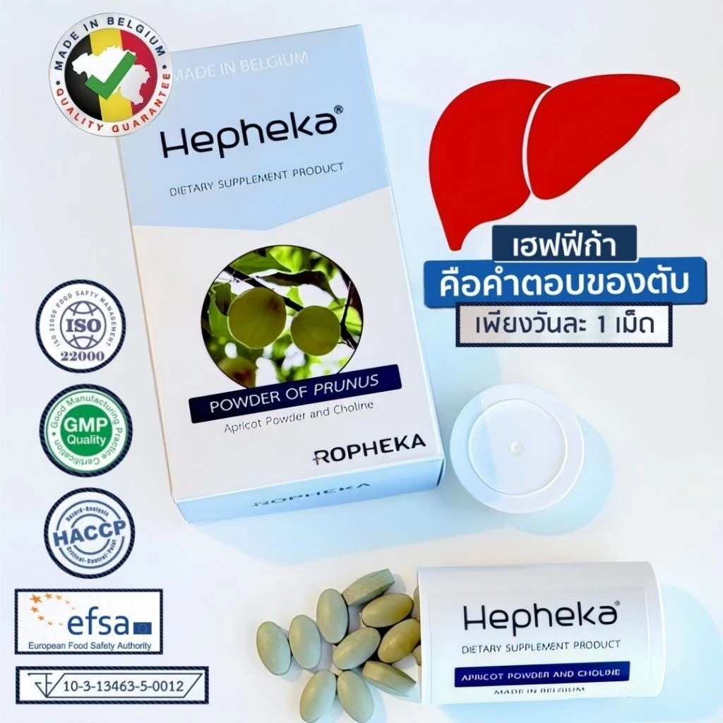 Hepheka เฮฟฟีก้า [ล๊อตใหม่] อาหารสำหรับตับ จากเบลเยียม 1 กล่อง บรรจุ 30 เม็ด