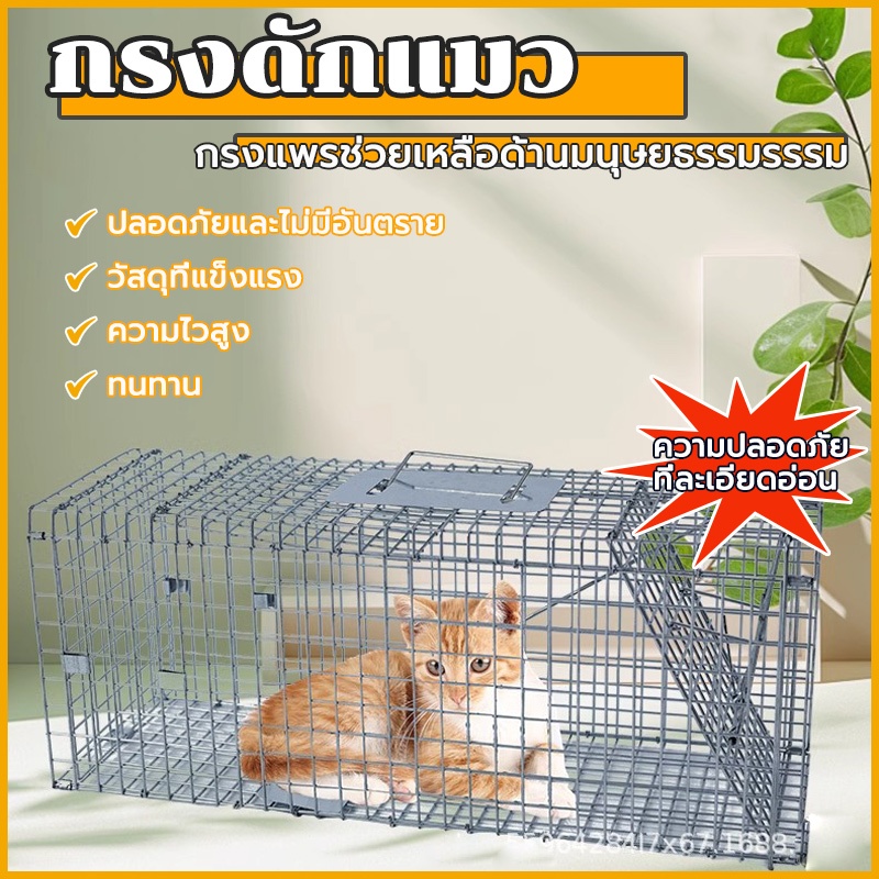 กรงดักแมว M-2XL กรงดักแมวจร  Cat Trap  พับได้ ความไวสูง จับแมว ทนทาน แข็งแรง ทนแรงกระชาก จับแมว ดักจับแมวไม่ทําร้ายแมว