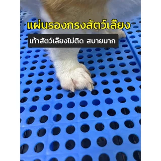 แผ่นรองกรง แผ่นรองกรงใหญ่ กันเท้าตกร่อง กันลื่น วัสดุPPทนทาน รองรับน้ำหนักดี สำหรับสัตว์เลี้ยง