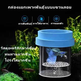 กล่องฟักไข่ปลาที่ลอยได้ กล่องฟักลอย กล่องแยกปลาคลอดลูก 2ช่องแยกลูกกุ้ง และแยกปลาที่กำลังป่วย สองขนาด