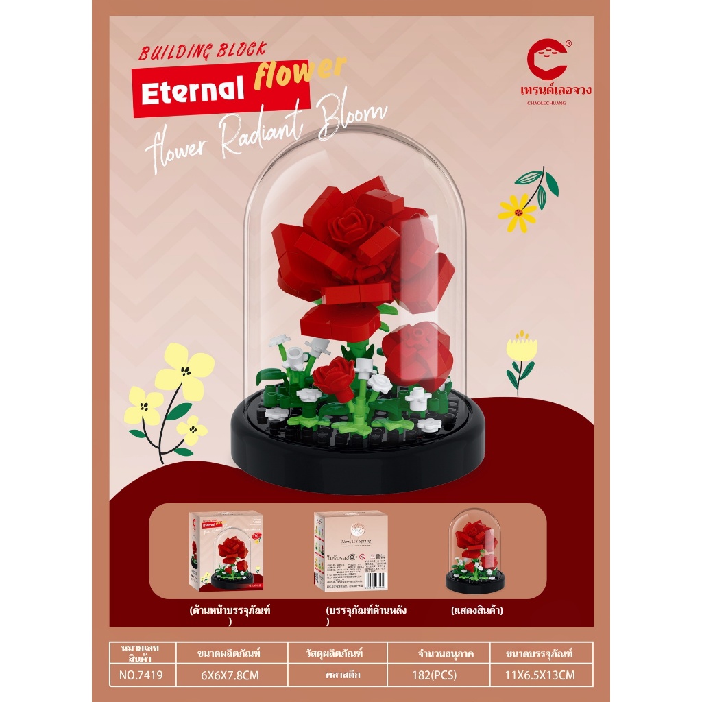 รูปภาพ 9