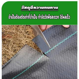 Daily Gold พลาสติกคลุมวัชพืช กำจัดวัชพืช ผ้าคลุมวัชพืช พลาสติกเกรดส่งออก ผสมUV ฆ่าหญ้า เห็นผลไวถายใน