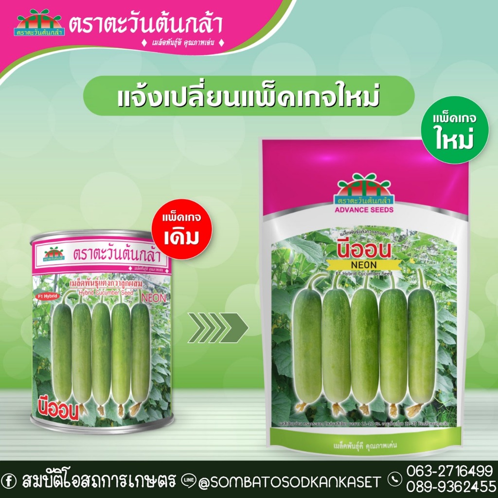 เมล็ดพันธุ์แตงกวาลูกผสม นีออน 100 กรัม ตราตะวันต้นกล้า