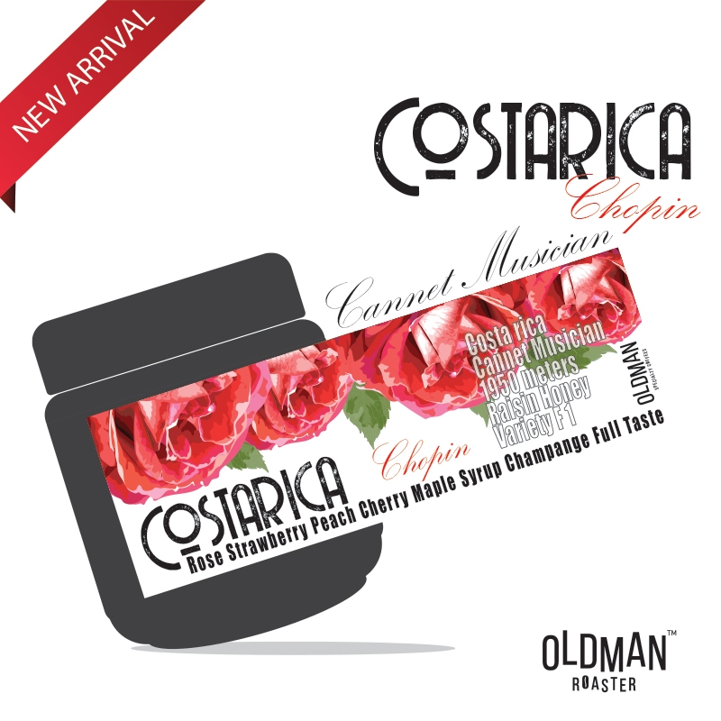 เมล็ดกาแฟ COSTARICA " CHOPIN " CANNET MUSICIAN (คั่วอ่อน) LIGHT ROAST by OLDMAN ROASTER