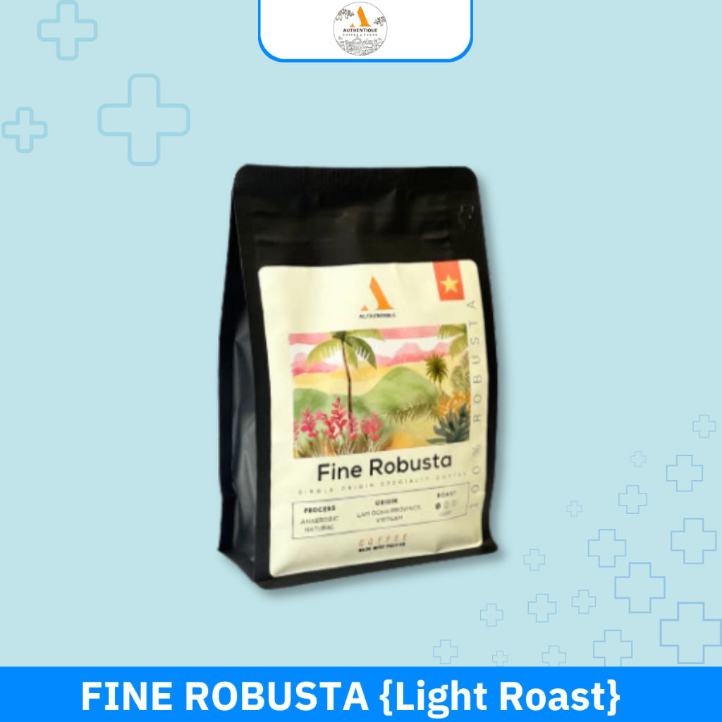 [Coffee Beans] Authentique Specilaity Fine Robusta 100% (Light Roast) (Vietnam Coffee Beans) 250g กา