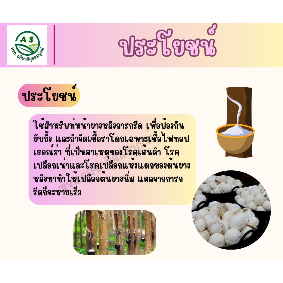 ดินแดงทาหน้ายาง 1 กก. ยับยั้งเชื้อรา หน้ายางนิ่ม แผลหายไว น้ำยางไหลดี สำหรับสวนยางพารา [3006] ราคา ถูกที่สุด ดีลบีเคเค แกลเลอรีภาพที่ 2