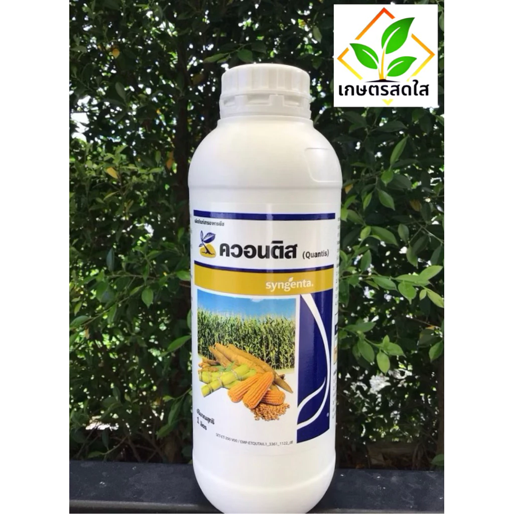 💥 ควอนติส *ขนาด 1 ลิตร ฮอร์โมนจากซินเจนทา เพิ่มปริมาณสารอาหารให้ข้าวโพด 🌽