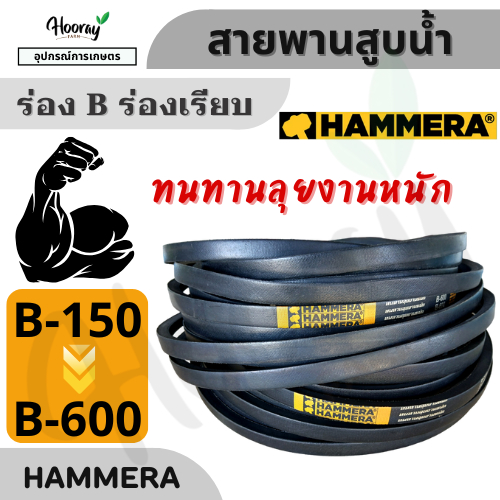 สายพาน HAMMERA (ของแท้) ร่อง B เบอร์ 200 - 600 V-Belts สายพานสูบน้ำ วิดน้ำ สายพานการเกษตร