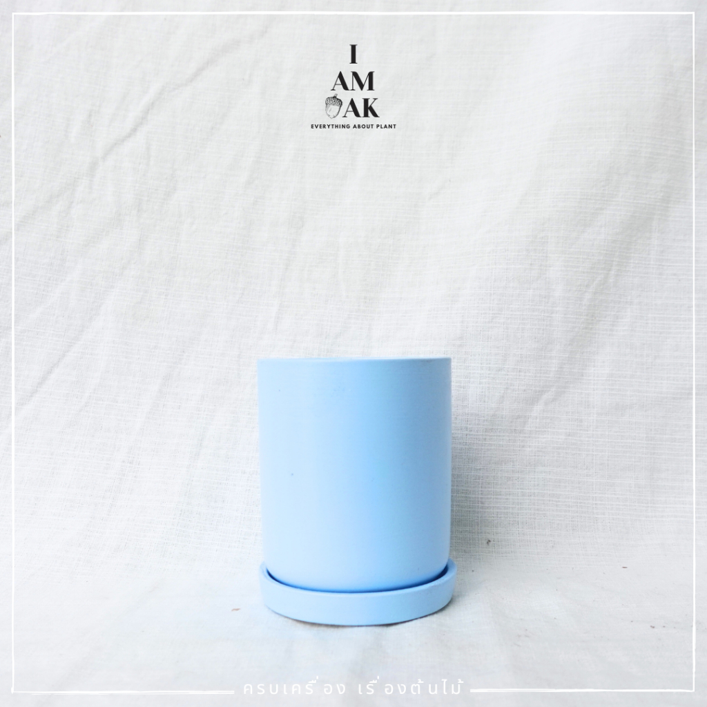 มุมมอง 5