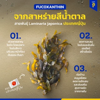 (2แถม1) profast "โปรฟาสต์" วิตามินช่วยลีน ตัวช่วยคาร์ดิโอ คุมหิว พร้อมส่ง!!