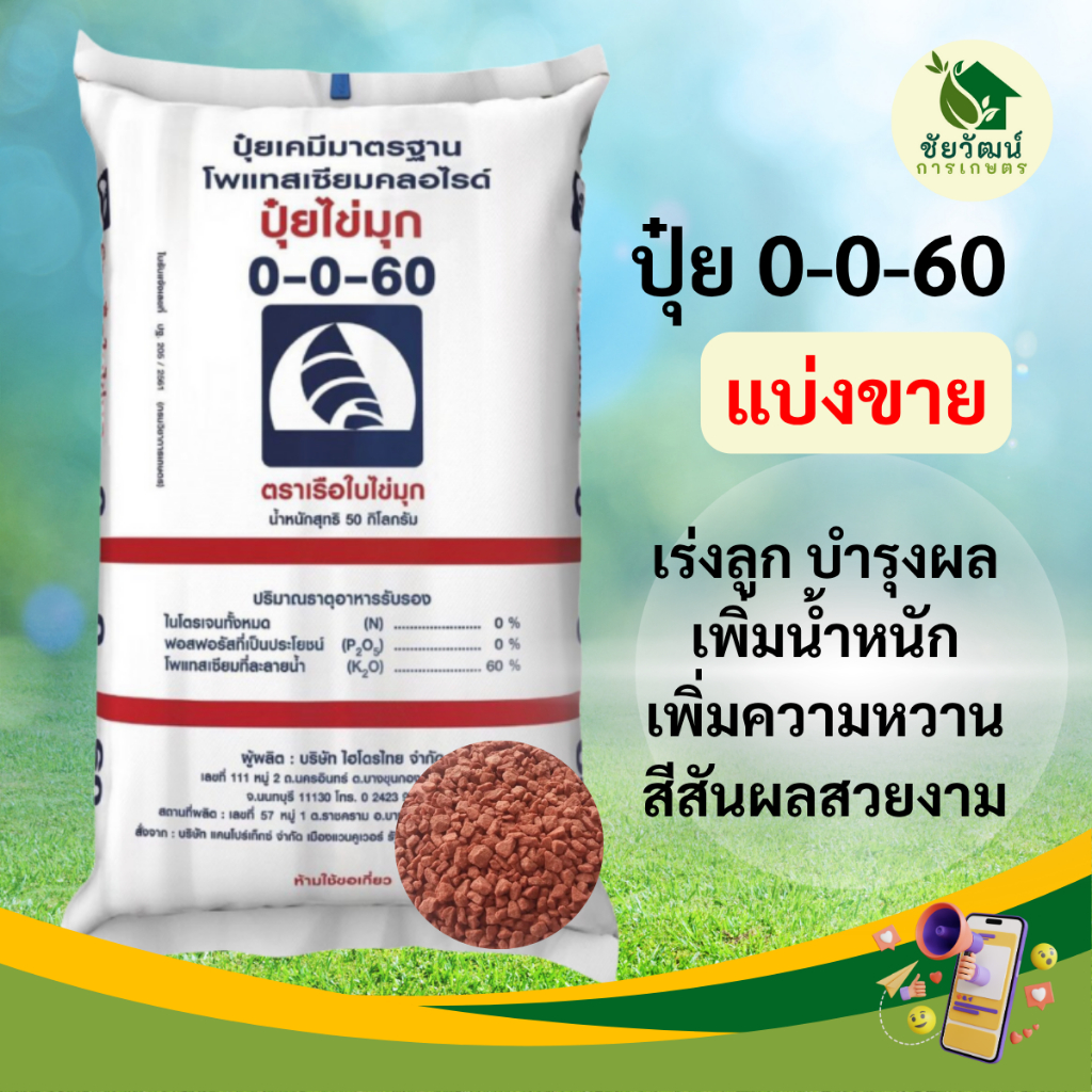 *แบ่งขาย* ปุ๋ย 0-0-60 ปุ๋ยเรือใบ เร่งลูก บำรุงผล
