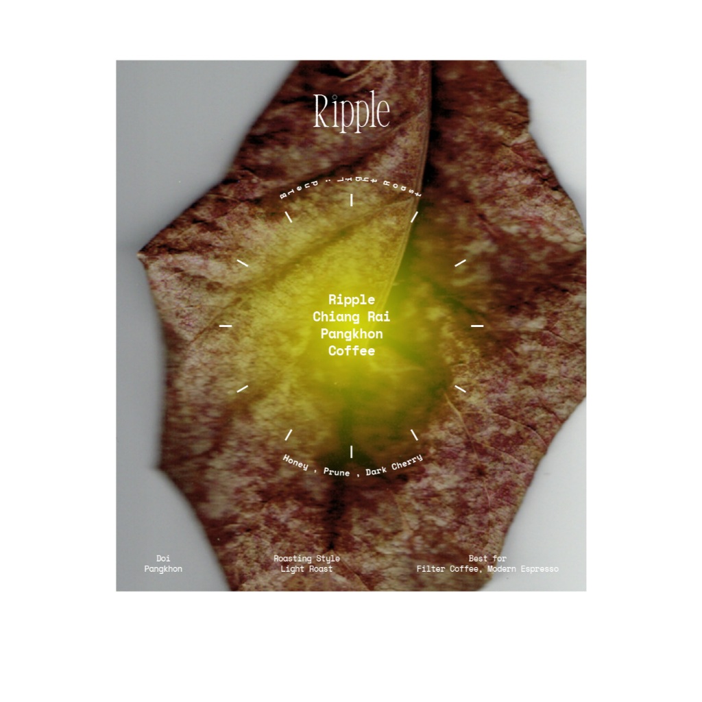 Catimor Thai Pangkhon (Honey)