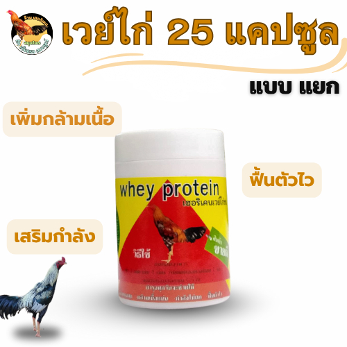 ชุดเลี้ยง(แบบแยก) ชุดเลี้ยงไก่ชน ตรา เฮอริเคน ลูกกลอน25เม็ด เวย์ไก่25แคปซูล ทองแดง10ml สำหรับไก่ชน ราคา ถูกที่สุด ดีลบีเคเค แกลเลอรีภาพที่ 5