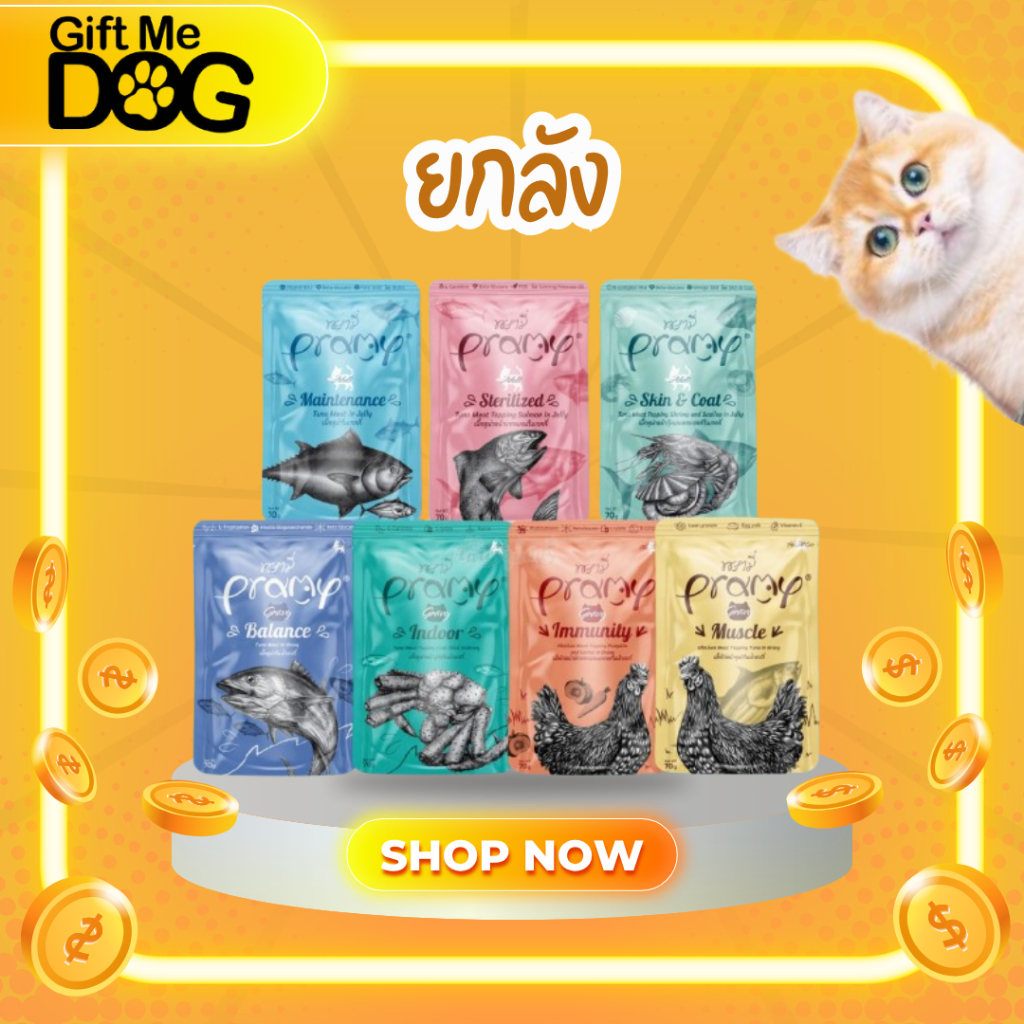 Pramy Pouch พรามี่อาหารเปียกน้องแมว**ยกลัง48ซอง**