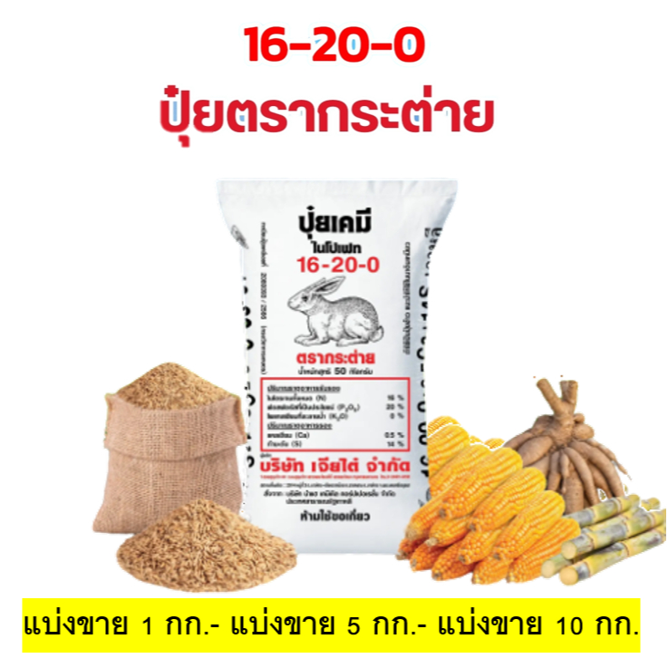[แบ่งขาย] ปุ๋ยสูตร 16-20-0 ตรากระต่าย บำรุงต้น ราก แตกกอ