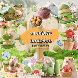 Hamu ❤️ Carno รวมสินค้าลับฟันสำหรับแฮมสเตอร์ กระต่าย แกสบี้ ถ้วยอาหารแฮมสเตอร์แทะกินได้ (วันที่หน้ากล่องคือวันผลิตน้า)