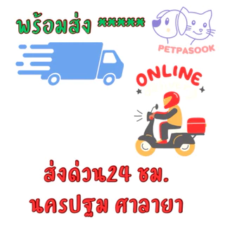 HOT！ Royal canin Renal Select Cat food อาหารแมวโรคไต สูตรกินง่าย รักษาโรคไตเลือกกิน เม็ดสอดไส้