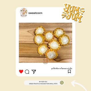 ข้าวโพดอบแห้ง สำหรับหนูแฮมสเตอร์และสัตว์ฟันแทะ By For You🌽| ข้าวโพด100% Organic