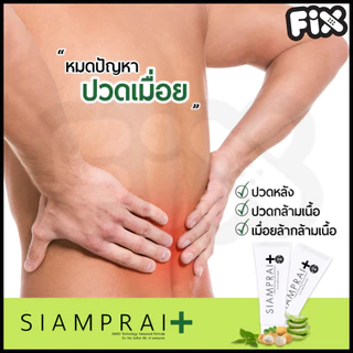 [ขายส่ง] Siamprai (สยามไพร) : SIAMPRAI+ ( ของแท้ : ผลิตล่าสุด กล่องดำ )[แก้ปวดเมื่อย ออฟฟิศซินโดรม]