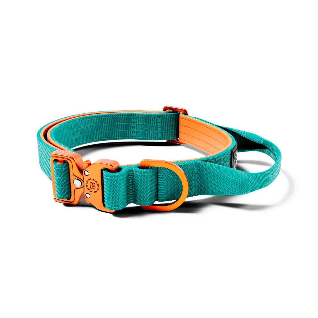 BullyBillows 2.5cm LIGHTER Combat® Collar รูปที่ 6