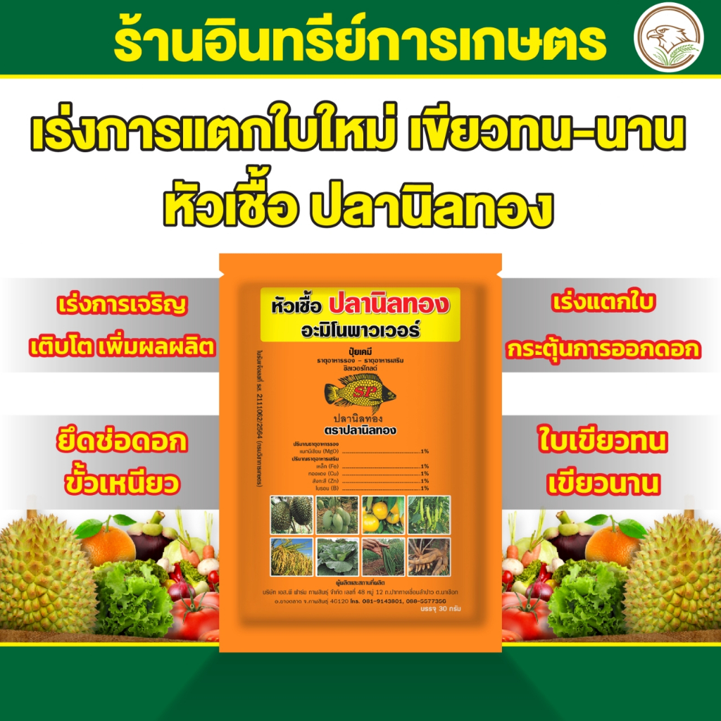 หัวเชื้อปลานิลทอง อะมิโนพาวเวอร์ เร่งการแตกใบ กระตุ้นการออกดอก ยืดช่อดอก ผสมเกสร ผสมเทียม ของแท้