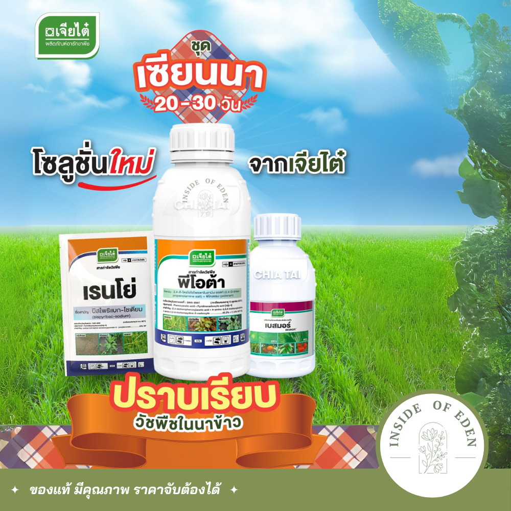 ชุด เซียนนา เจียไต๋ กำจัดหญ้าในนา เก็บหญ้าในนาข้าว 1ชุดผสมน้ำ1ถัง
