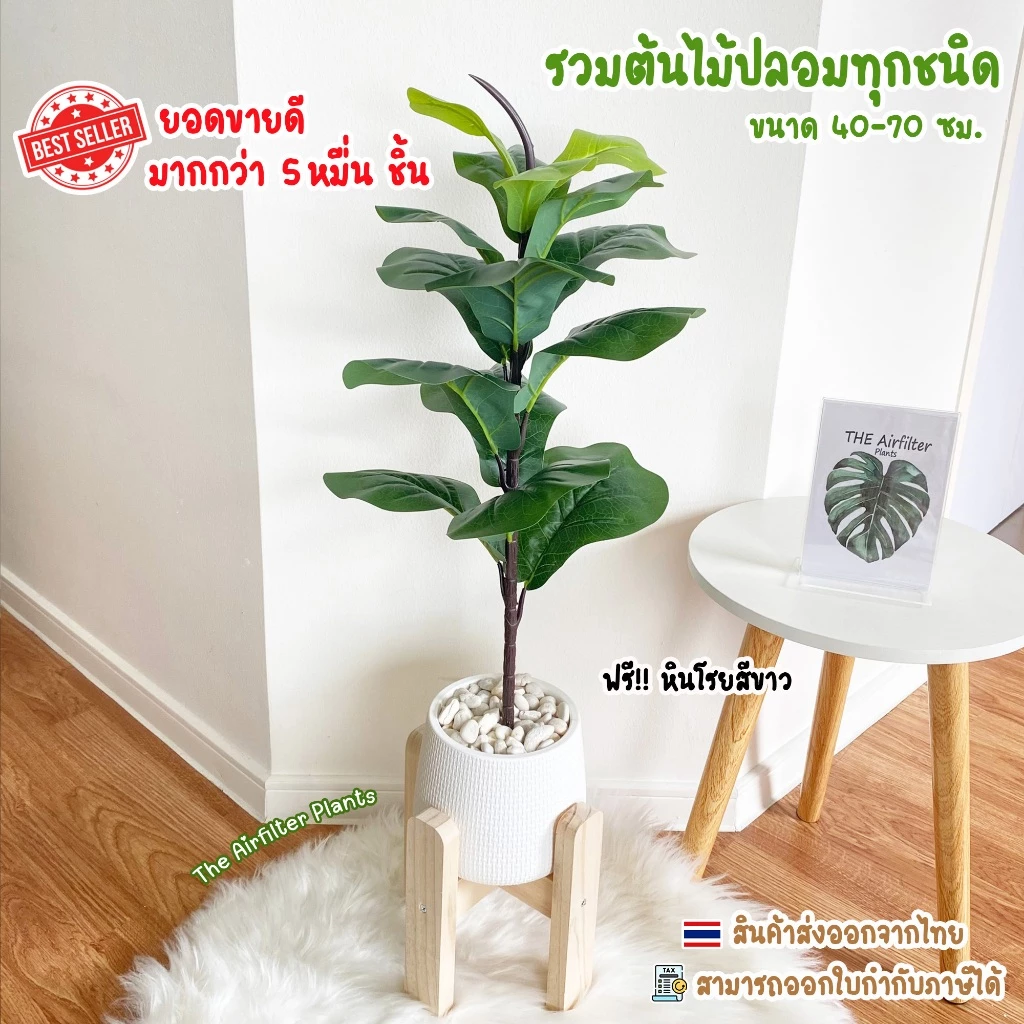 ต้นไม้ปลอม(ฟรี!!หินโรย) ต้นไทรใบสัก,มอนสเตอร่า ฯลฯ สูง40-78ซม. ต้นไม้มงคล พร้อมกระถางและหินสีขาว