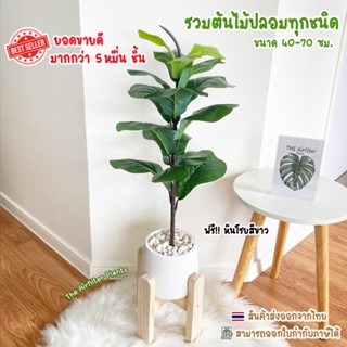 ต้นไม้ปลอม(ฟรี!!หินโรย) ต้นไทรใบสัก,มอนสเตอร่า ฯลฯ สูง40-78ซ…