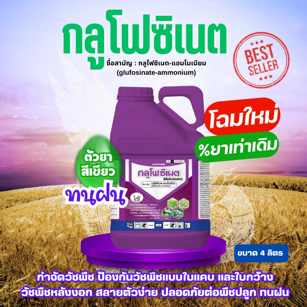 *โฉมใหม่* NAAK กลูโฟซิเนต 4 ลิตร กระติกม่วง กลูโฟซิเนต-แอมโมเนียม (glufosinate-ammonium) 15% W/V SL ยาฉีดหญ้า ทนฝน